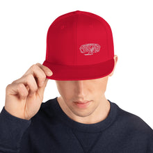 Texu$ Snapback Hat