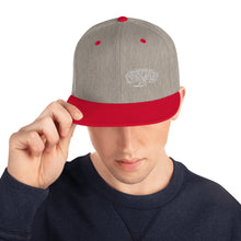 Texu$ Snapback Hat